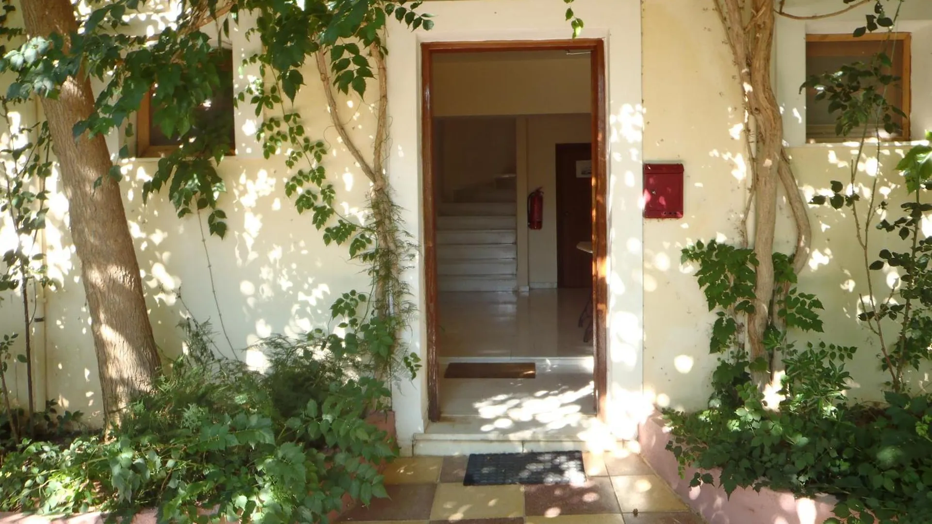 سامي Staggia Studios اليونان